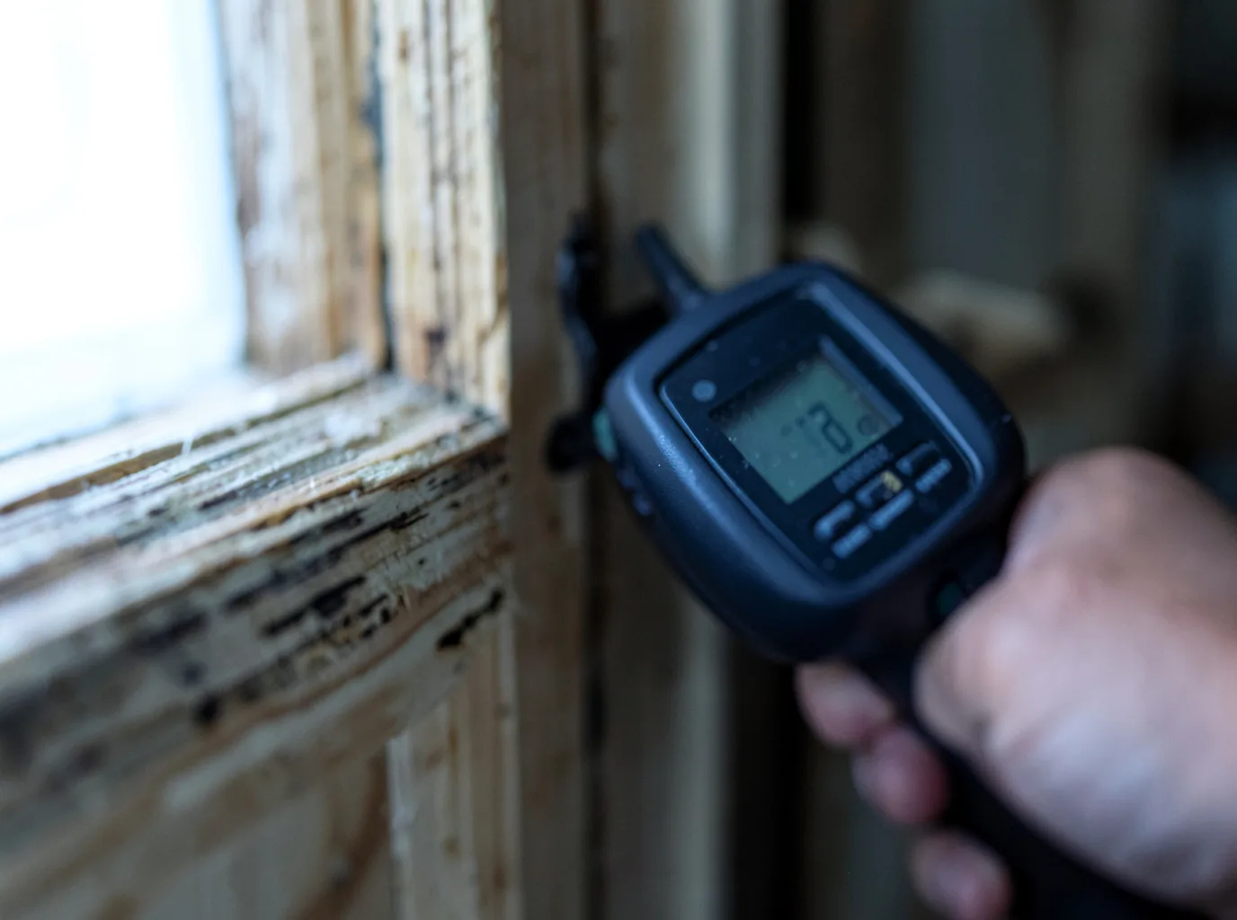Commercial Water Damage Restoration in Tracys Landing, MD